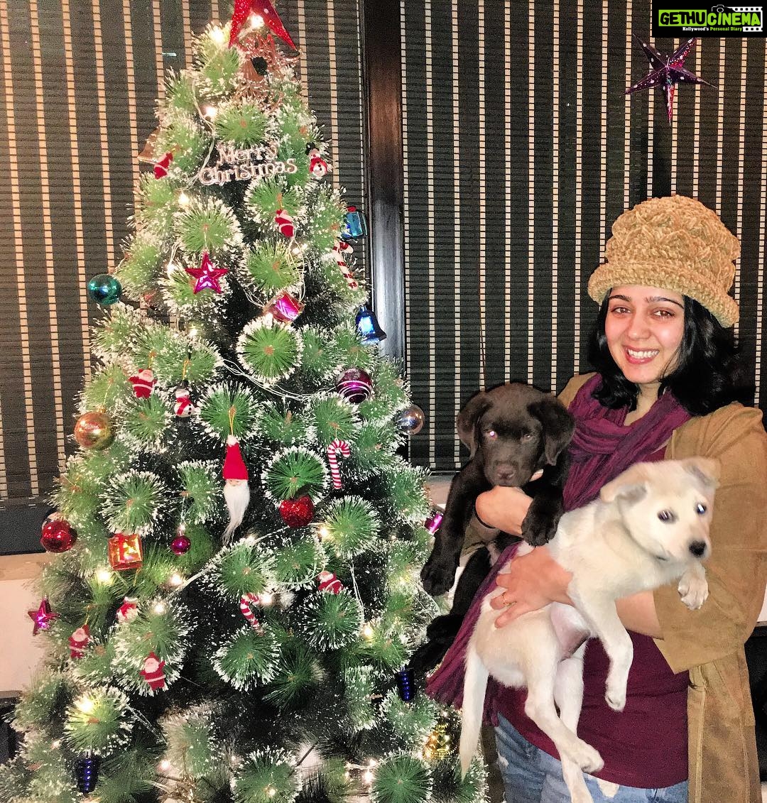 Charmy Kaur Instagram - #merrychristmas ❤️ from #Charmme #pablo n #darling 😘😘😘