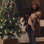 Charmy Kaur Instagram - #merrychristmas ❤️ from #Charmme #pablo n #darling 😘😘😘
