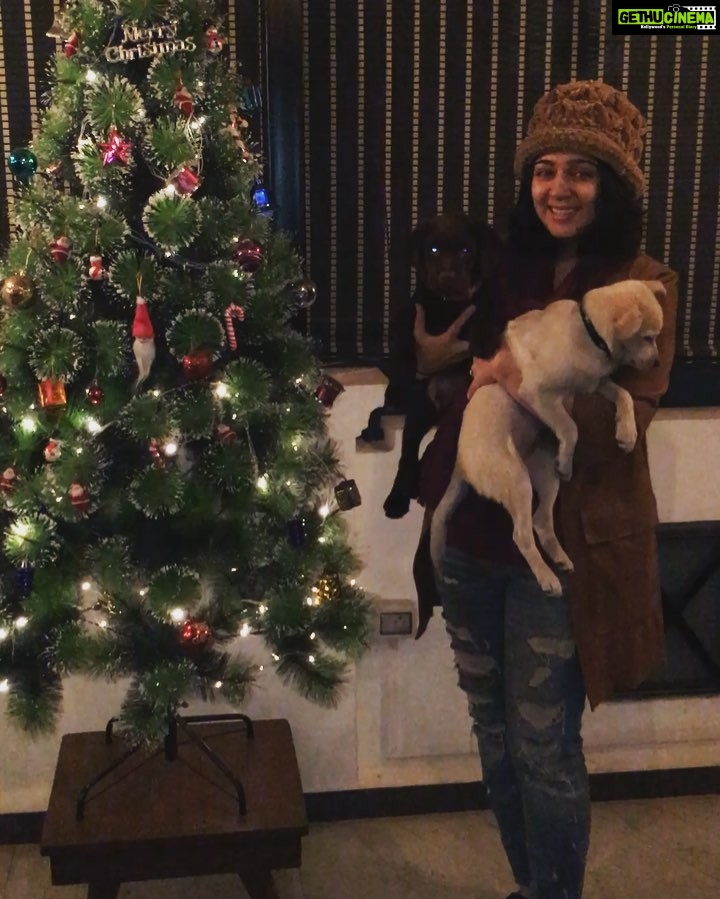 Charmy Kaur Instagram - #merrychristmas ❤️ from #Charmme #pablo n #darling 😘😘😘