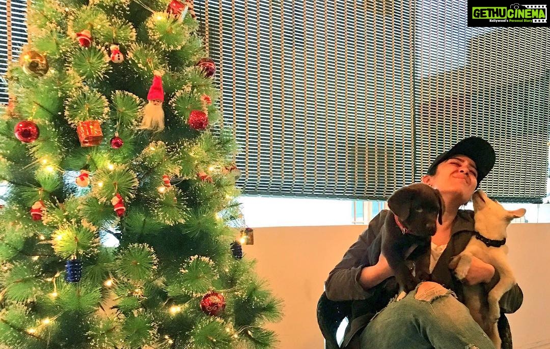Charmy Kaur Instagram - #Happy #holiday #season from #me , #darling n #Pablo 💃🏻👻😘😍