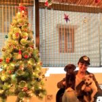 Charmy Kaur Instagram - #Happy #holiday #season from #me , #darling n #Pablo 💃🏻👻😘😍