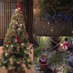 Charmy Kaur Instagram - Yesssss it's #Christmas #season 💃🏻 n my Pretty tree is up n shining 💃🏻💃🏻 More pics coming soon 👻