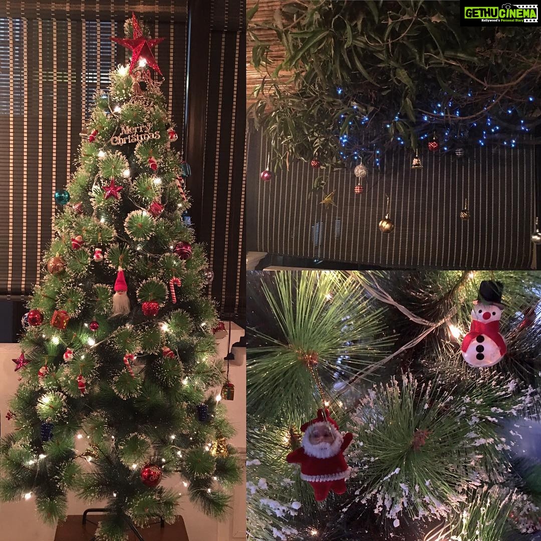 Charmy Kaur Instagram - Yesssss it's #Christmas #season 💃🏻 n my Pretty tree is up n shining 💃🏻💃🏻 More pics coming soon 👻