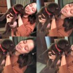 Charmy Kaur Instagram - ‪Yesssssssss so named my 2nd puppy #pablo !! Inspired from #pabloescobar ( #narcos ) ‪☺️ #chocolatelab #puppylove ‬
