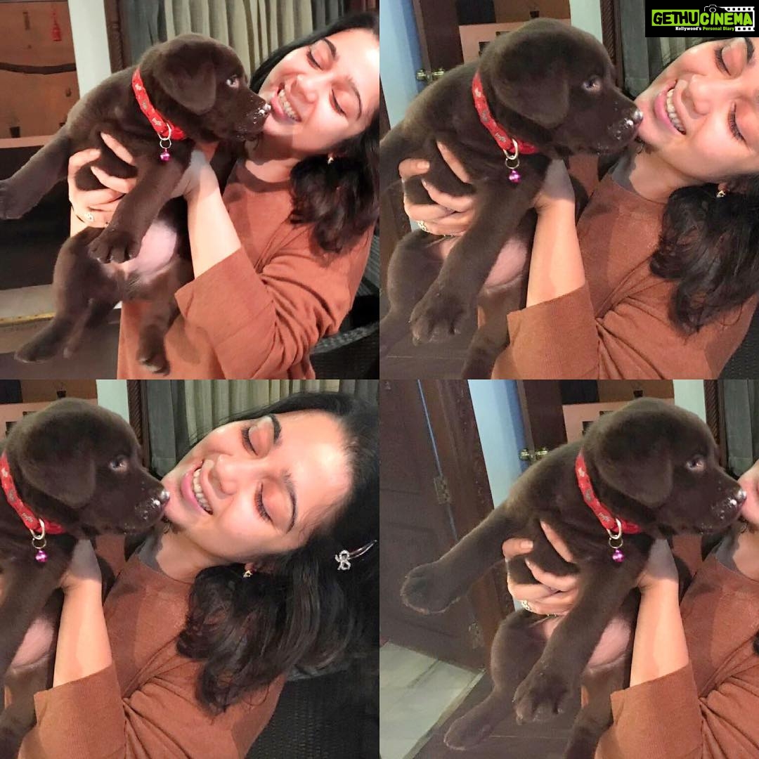 Charmy Kaur Instagram - Yesssssssss so named my 2nd puppy #pablo !! Inspired from #pabloescobar ( #narcos ) ☺️ #chocolatelab #puppylove 