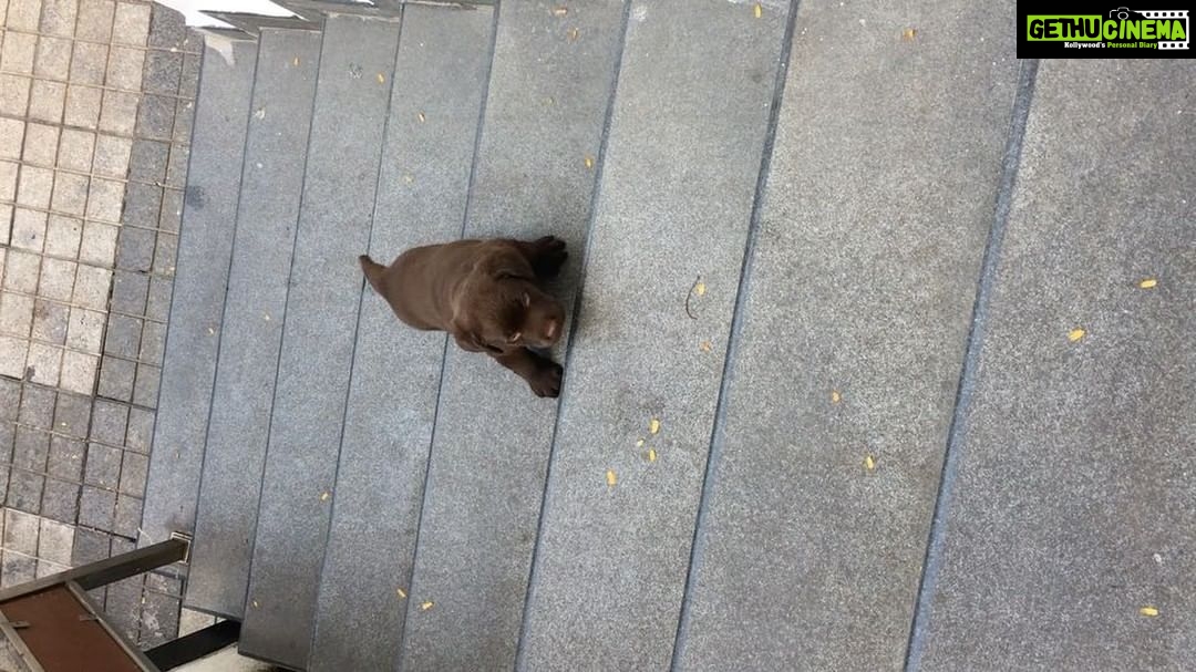 Charmy Kaur Instagram - Already climbing big steps 😍 😘