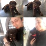 Charmy Kaur Instagram - ‪His innocence, his beauty n his saint like vibes .. 😍😍😍 #lovinghim #secondpup ‬#suggestnames