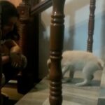 Charmy Kaur Instagram - And he does it 💃🏻💃🏻💃🏻 😂😂😂 #darling #puppylove