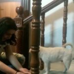 Charmy Kaur Instagram - He is just soooooo adorable 😂😂😂😂 #darling #puppylove
