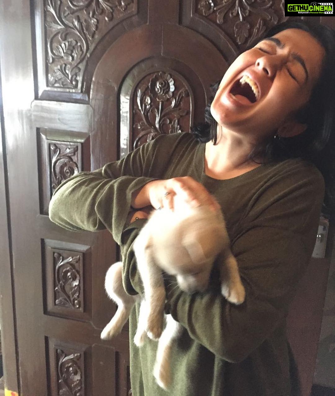 Charmy Kaur Instagram - Aaaaaahhhhhhhhhhhh n he bites 😭