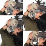 Charmy Kaur Instagram - He asking for toooo much luv n attention today 😁 #darling #puppylove