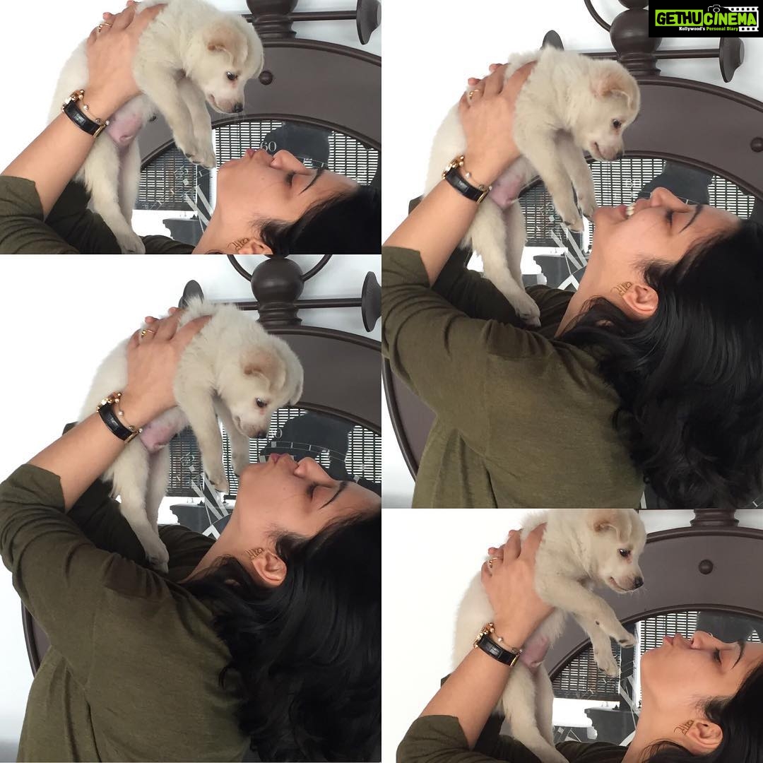 Charmy Kaur Instagram - He asking for toooo much luv n attention today 😁 #darling #puppylove
