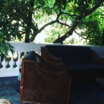 Charmy Kaur Instagram - Rain n green tea 😍😍😍