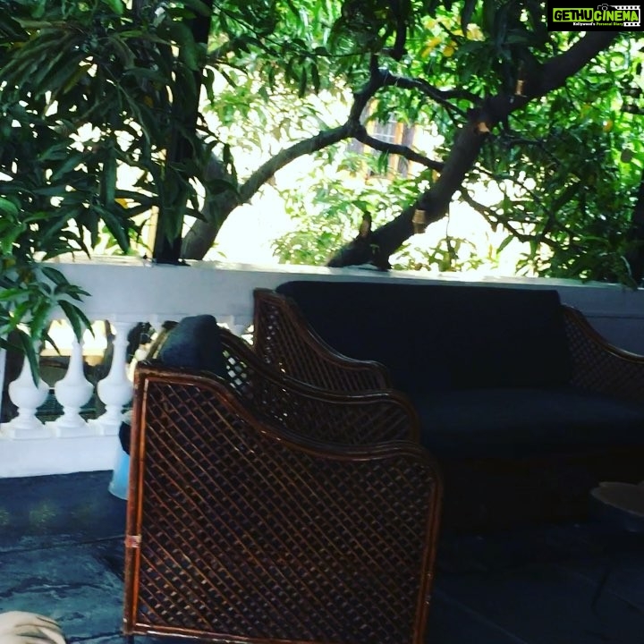 Charmy Kaur Instagram - Rain n green tea 😍😍😍
