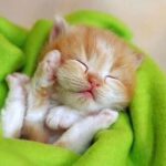 Charmy Kaur Instagram - Mmmmmmm .. This is exactly how I feel rite now 😍