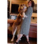 Charmy Kaur Instagram - As tall as mammaa 😘 And he poses and smiles too 😂 #proudmom #alaskanmalamute #oneyearold 💕