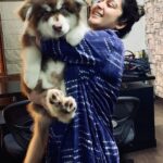 Charmy Kaur Instagram - When my baby boy was 45 days old 😘 My teddy bear 😘😘 #throwback #alaskanmalamute 💕 #LIGER