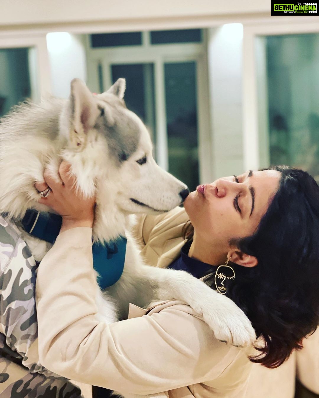 Charmy Kaur Instagram - Moments with STORM 😍 Toooooo cute to handle , just like @thedeverakonda and @ananddeverakonda ❤️❤️