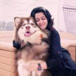 Charmy Kaur Instagram - I will squeeze u n eat u my pumpkin 😘😘😘😘 #alaskanmalamute #9monthsold #pets @puriconnects ♥️
