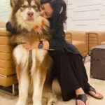 Charmy Kaur Instagram – As big as his mamma 😘😘😘

.

#alaskanmalamute #9monthsold 
#pets #love 

@puriconnects ❤️