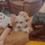 Charmy Kaur Instagram – How about sum massage before heading for shower 😂😂😂
I surely have an alternative career 😂😂😂
.
#pets #massage #love ♥️