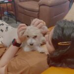 Charmy Kaur Instagram - How about sum massage before heading for shower 😂😂😂 I surely have an alternative career 😂😂😂 . #pets #massage #love ♥️