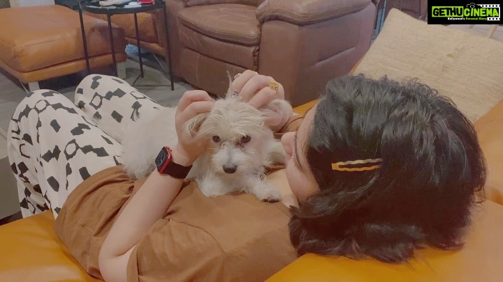 Charmy Kaur Instagram - How about sum massage before heading for shower 😂😂😂 I surely have an alternative career 😂😂😂 . #pets #massage #love ♥️