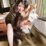 Charmy Kaur Instagram – Jab main Chota Bacchaa tha 😘😂

Tiny version of my baby 🥰

#throwbackthursday ❤️ #alaskanmalamute