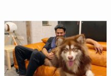 Charmy Kaur Instagram - #Darling with my 9 months old baby boy ♥️ . . . @actorprabhas #alaskanmalamute @puriconnects
