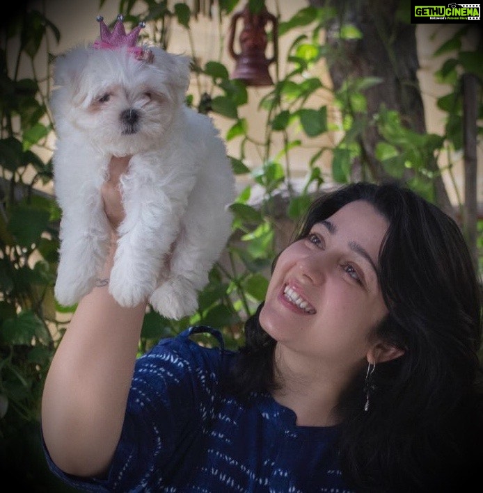 Charmy Kaur Instagram - Real drama queen 😂 She or me ??? 😂😂😂 #throwbackpic #pets #babygirl