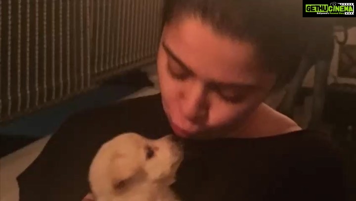 Charmy Kaur Instagram - My kids have paws πΎπ #happymothersday to all pet moms ππππ