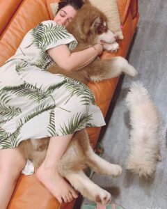 Charmy Kaur Instagram - My quarantine partner ❣️ #pets #love #stayhome 💕