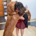 Charmy Kaur Instagram - Gemme a hug babby 😘😘 Miss u @jayanthparanji n ur cutest retriever 😘😘😘😘 #pets #love