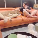 Charmy Kaur Instagram - Chilling 24/7 😂😂 Waaataaeeeee life 😂😂😂 #lockdown ❣️😍 #candid