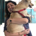 Charmy Kaur Instagram - U r truly blessed if u r hugging a dog today n everyday 😇 . #pets #love 🥰