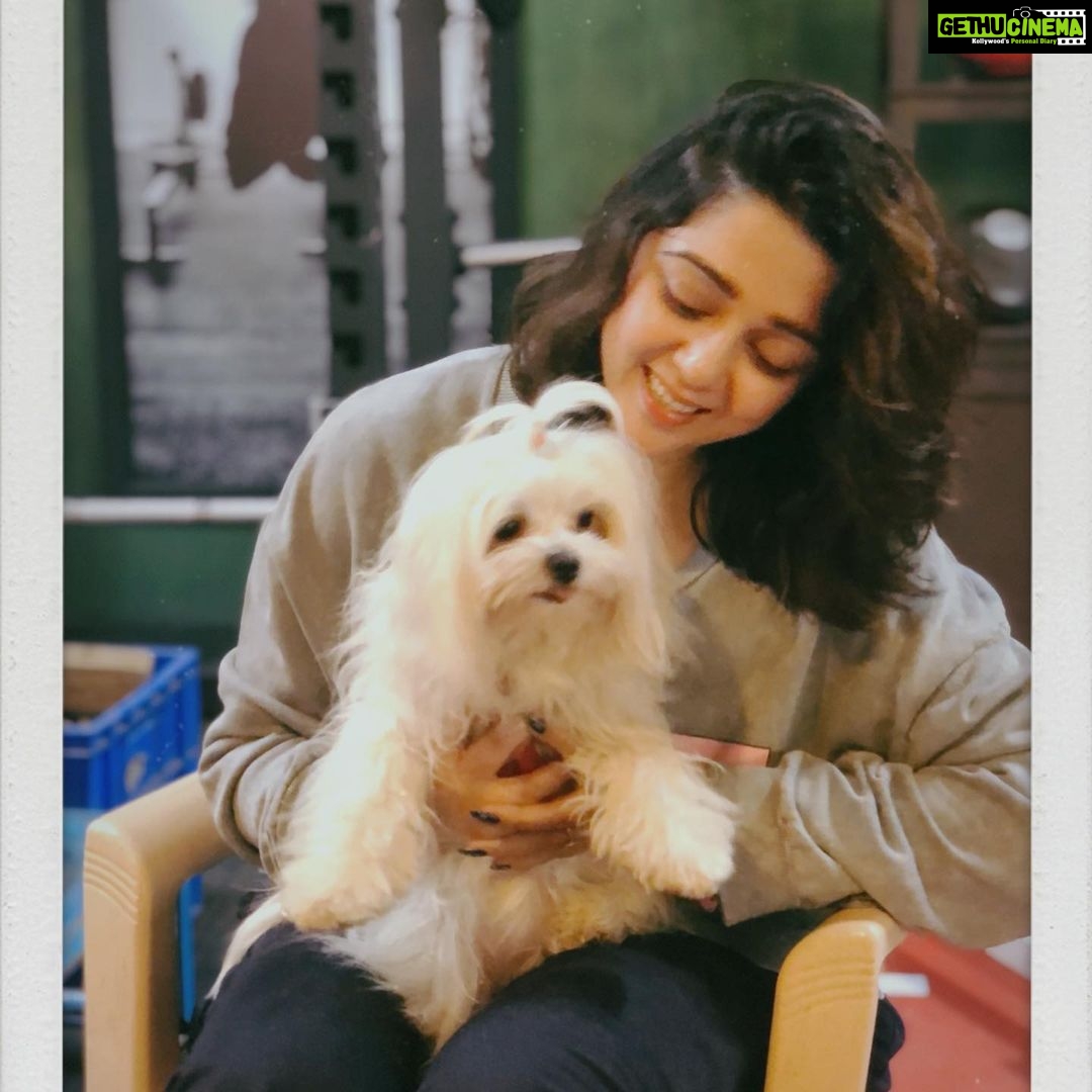Charmy Kaur Instagram - This is how work begins 😘😘 With love , kisses n excitement 😘😘 #petslove 💕#petsofinstagram मुंबई Mumbai