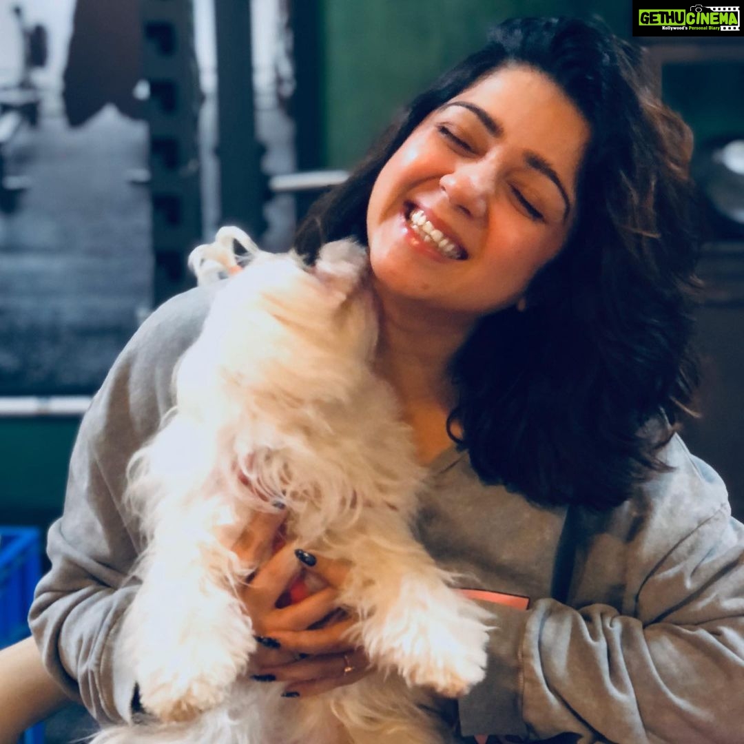 Charmy Kaur Instagram - This is how work begins 😘😘 With love , kisses n excitement 😘😘 #petslove 💕#petsofinstagram मुंबई Mumbai