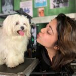 Charmy Kaur Instagram - LIVE LOVE WOOF 😁 . #pets #loveofmylife 💕