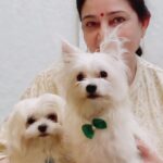 Charmy Kaur Instagram - Beauties 😍💖 #mommy #pets 🐶 #PC 🤩 #mumbai Mumbai, Maharashtra