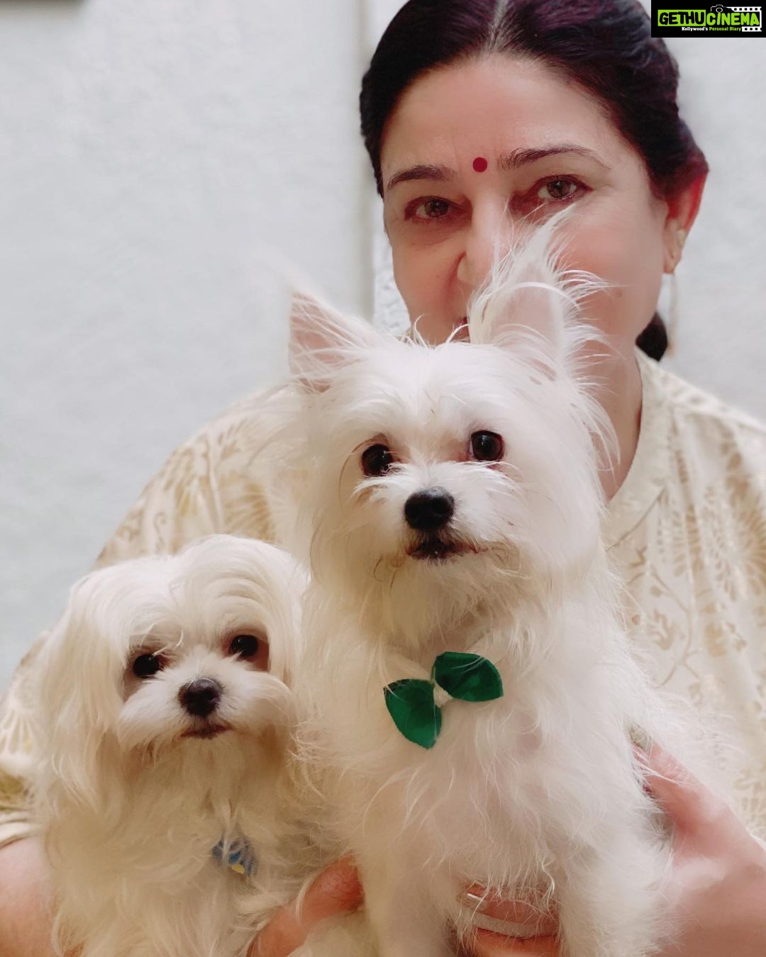 Charmy Kaur Instagram - Beauties 😍💖 #mommy #pets 🐶 #PC 🤩 #mumbai Mumbai, Maharashtra