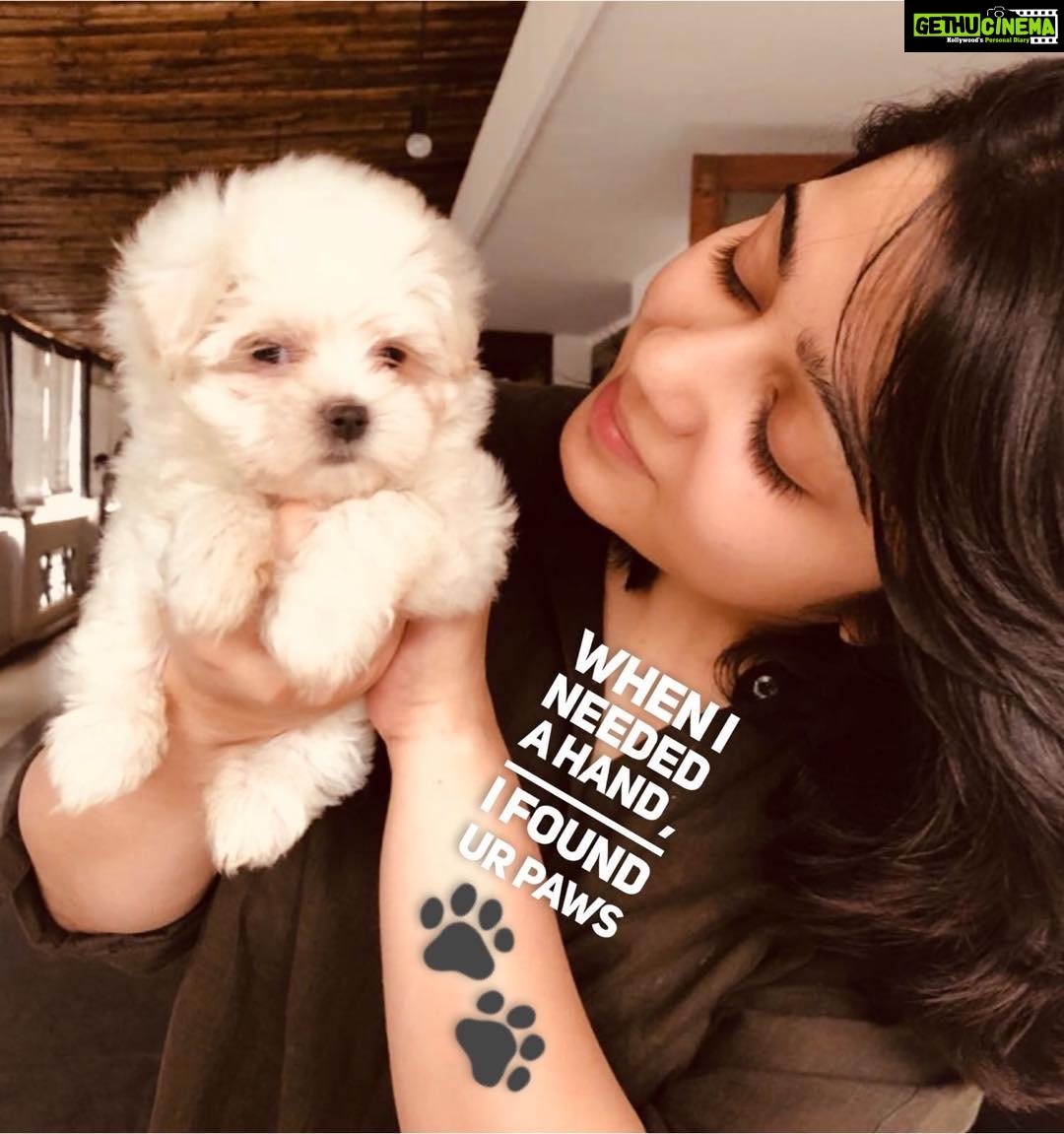 Charmy Kaur Instagram - The only thing I don’t like about outdoor shoot is tat I miss my puppies like crazy 😭😭😭 #puppylove . #goa #romantic #shootmode