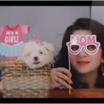 Charmy Kaur Instagram - I m suspicious of people who don’t like dogs , but I trust a dog when it doesn’t like a person ... #pets #petparent #babygirl #photoshoot 💖🥰😘