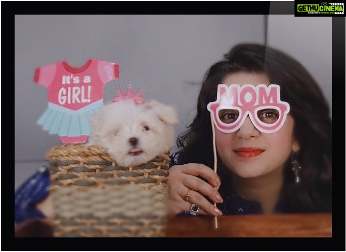 Charmy Kaur Instagram - I m suspicious of people who don’t like dogs , but I trust a dog when it doesn’t like a person ... #pets #petparent #babygirl #photoshoot 💖🥰😘