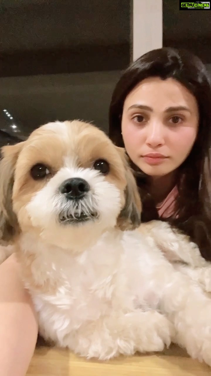 Daisy Shah Instagram - Guess he planned to do this trend his way! . . . #trendfail #snoozebaby #reelitfeelit #daisyshah #theoshahofficial