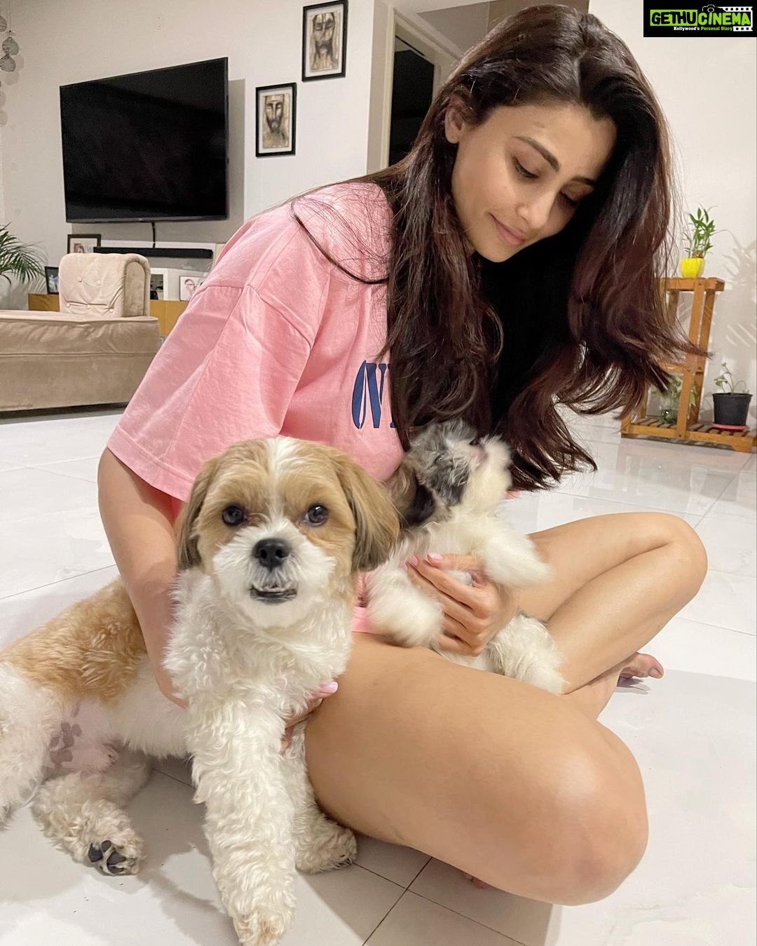 Daisy Shah Instagram - Just a regular #dogmom post 💖 . . . #myboys #livelovelaugh #daisyshah