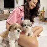 Daisy Shah Instagram – Just a regular #dogmom post 💖
.
.
.
#myboys #livelovelaugh #daisyshah
