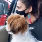 Daisy Shah Instagram - N in this moment of silence we had an entire conversation. ❤️🐾 . . #livelovelaugh #energyiseverything #daisyshah #dogmom #theoshahofficial