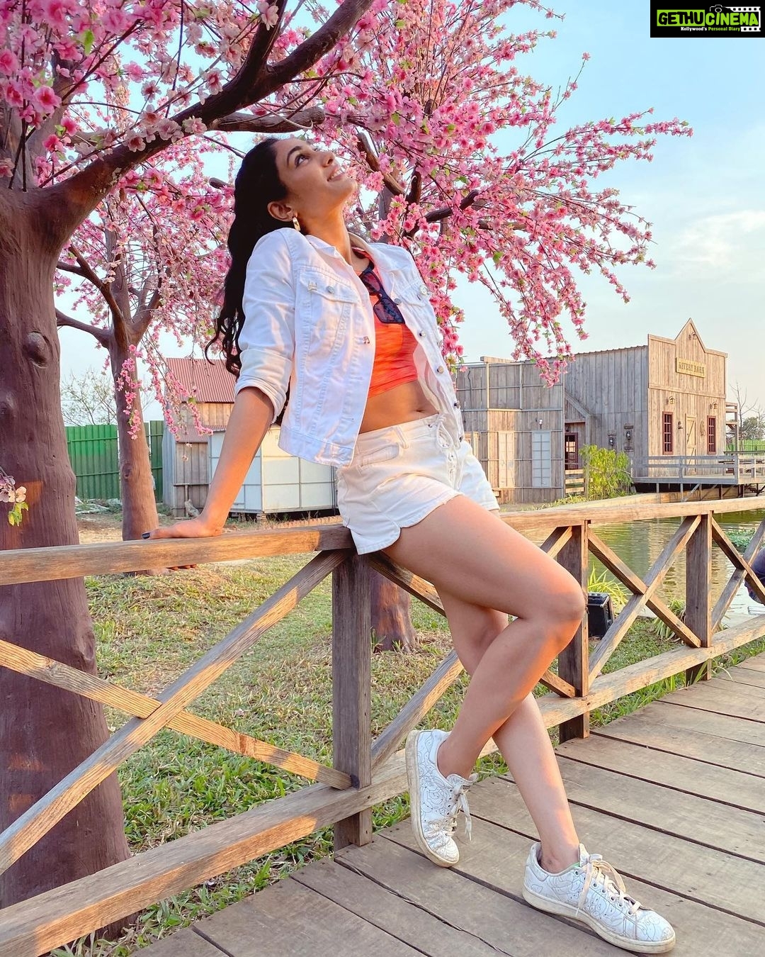 Deepti Sati Instagram - 🌸🌸🌸Dreamy blossoms 🌸🌸🌸