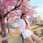 Deepti Sati Instagram - 🌸🌸🌸Dreamy blossoms 🌸🌸🌸