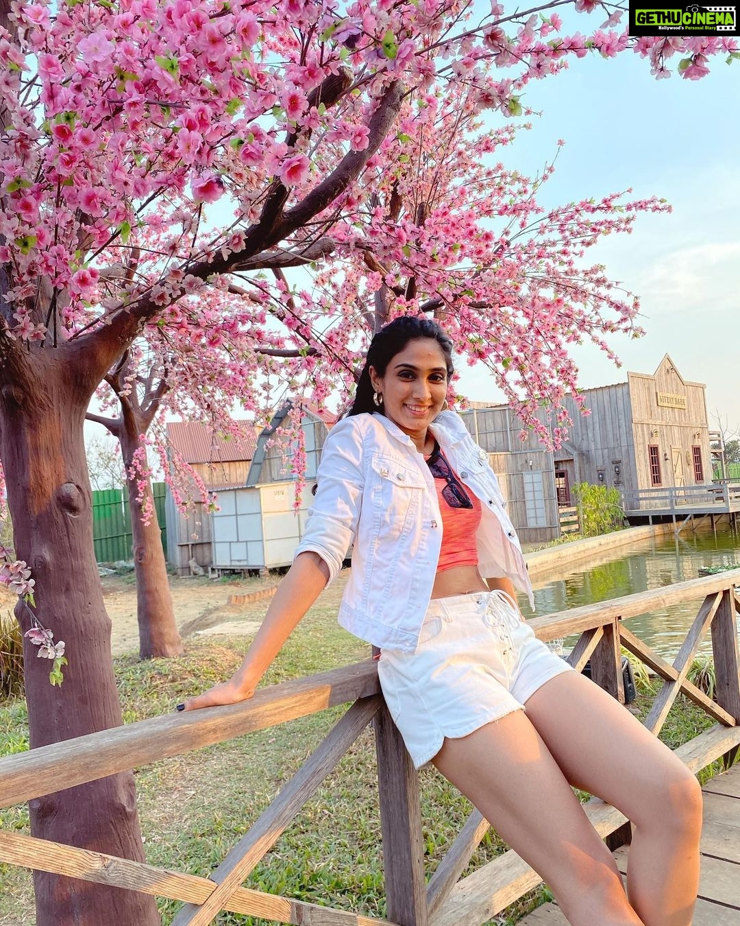 Deepti Sati Instagram - 🌸🌸🌸Dreamy blossoms 🌸🌸🌸